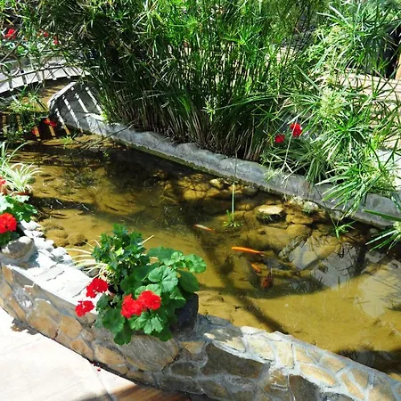 Manor Ξενοδοχείο Όλστυν